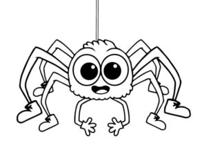 Desenho de Aranha