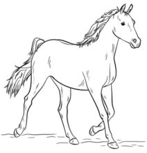 Desenho de Cavalo