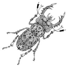 Desenho de Escaravelho