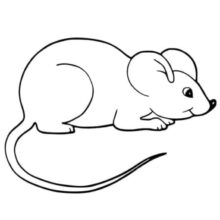 Desenho de Rato