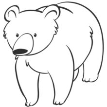 Desenho de Urso Polar